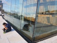 IMG 7325