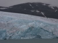 IMG 7642