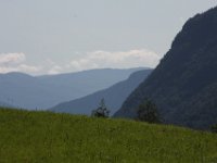 IMG 7655