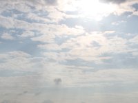 IMG 7745