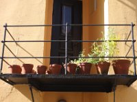 IMG 7784