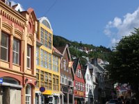 IMG 7847