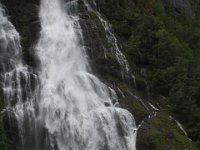 IMG 7554