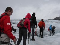 IMG 7617